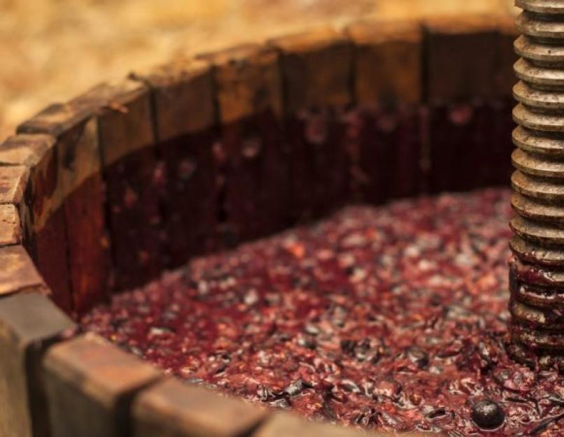 Сусло виноградное концентрированное. Хорошее вино обеспечивается качественно подготовленным виноградным суслом. Смотреть что такое 